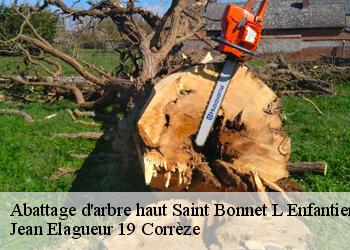 Abattage d'arbre haut  saint-bonnet-l-enfantier-19410 Jean Elagueur 19 Corrèze