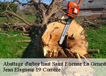 Abattage d'arbre haut  saint-etienne-la-geneste-19160 Jean Elagueur 19 Corrèze