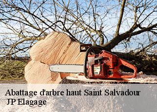 Abattage d'arbre haut  saint-salvadour-19700  JP Elagage