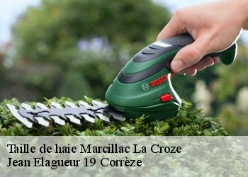 Taille de haie  marcillac-la-croze-19500 Jean Elagueur 19 Corrèze