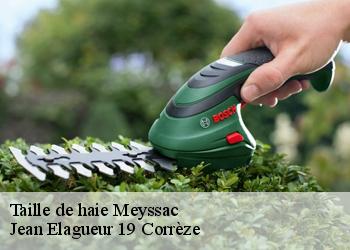 Taille de haie  meyssac-19500 Jean Elagueur 19 Corrèze