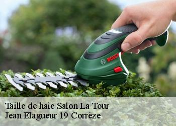 Taille de haie  salon-la-tour-19510 Jean Elagueur 19 Corrèze