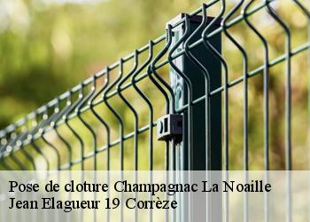 Pose de cloture  champagnac-la-noaille-19320 Jean Elagueur 19 Corrèze