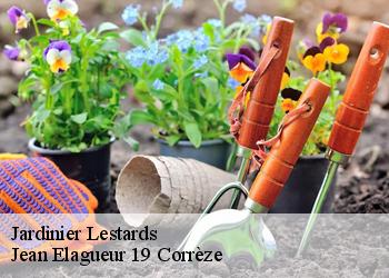 Jardinier  lestards-19170 Jean Elagueur 19 Corrèze