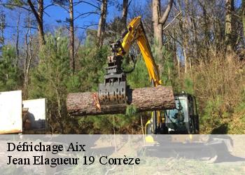 Défrichage  aix-19200 Jean Elagueur 19 Corrèze