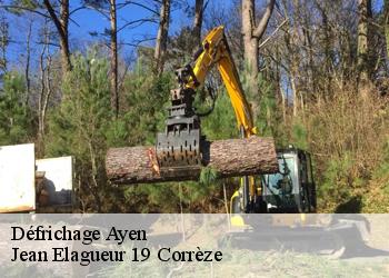 Défrichage  ayen-19310 Jean Elagueur 19 Corrèze