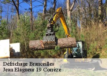 Défrichage  branceilles-19500 Jean Elagueur 19 Corrèze