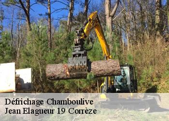 Défrichage  chamboulive-19450 Jean Elagueur 19 Corrèze