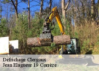 Défrichage  clergoux-19320 Jean Elagueur 19 Corrèze