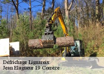 Défrichage  lignareix-19200 Jean Elagueur 19 Corrèze