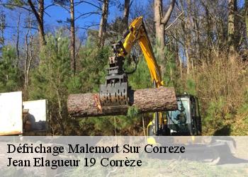 Défrichage  malemort-sur-correze-19360 Jean Elagueur 19 Corrèze