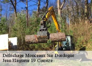 Défrichage  monceaux-sur-dordogne-19400 Jean Elagueur 19 Corrèze