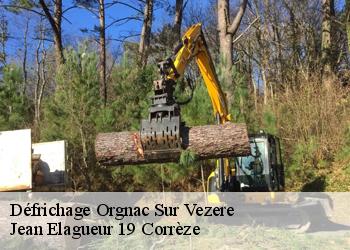 Défrichage  orgnac-sur-vezere-19410 Jean Elagueur 19 Corrèze