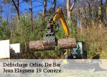 Défrichage  orliac-de-bar-19390 Jean Elagueur 19 Corrèze