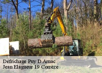 Défrichage  puy-d-arnac-19120 Jean Elagueur 19 Corrèze