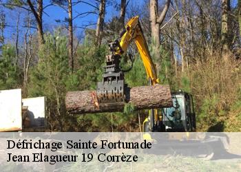 Défrichage  sainte-fortunade-19490 Jean Elagueur 19 Corrèze