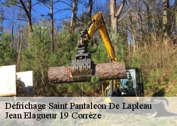 Défrichage  saint-pantaleon-de-lapleau-19160 Jean Elagueur 19 Corrèze