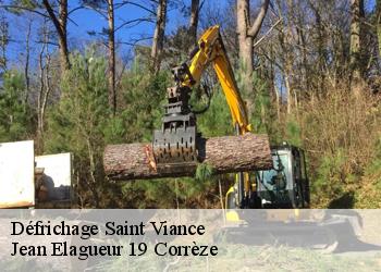 Défrichage  saint-viance-19240 Jean Elagueur 19 Corrèze