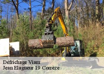 Défrichage  viam-19170 Jean Elagueur 19 Corrèze