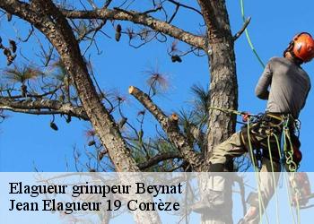 Elagueur grimpeur  beynat-19190 Jean Elagueur 19 Corrèze