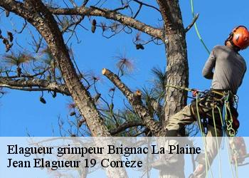 Elagueur grimpeur  brignac-la-plaine-19310 Jean Elagueur 19 Corrèze