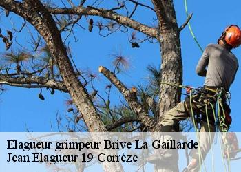 Elagueur grimpeur  brive-la-gaillarde-19100 Jean Elagueur 19 Corrèze