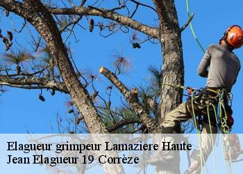 Elagueur grimpeur  lamaziere-haute-19340 Jean Elagueur 19 Corrèze