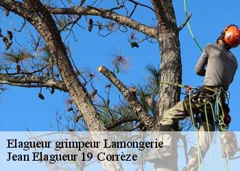 Elagueur grimpeur  lamongerie-19510 Jean Elagueur 19 Corrèze