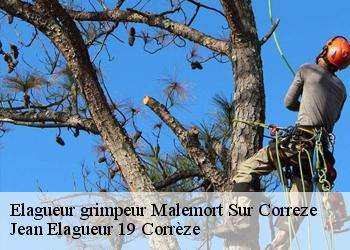 Elagueur grimpeur  malemort-sur-correze-19360 Jean Elagueur 19 Corrèze