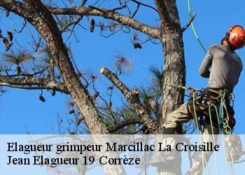 Elagueur grimpeur  marcillac-la-croisille-19320 Jean Elagueur 19 Corrèze