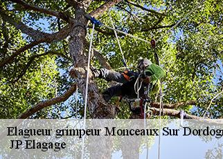 Elagueur grimpeur  monceaux-sur-dordogne-19400  JP Elagage