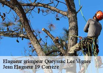 Elagueur grimpeur  queyssac-les-vignes-19120 Jean Elagueur 19 Corrèze