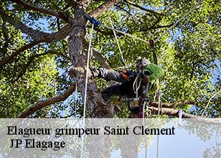 Elagueur grimpeur  saint-clement-19700  JP Elagage