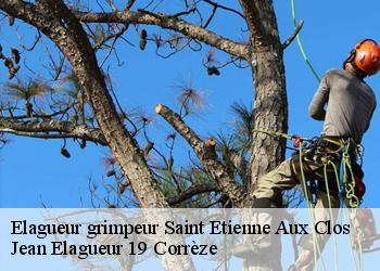 Elagueur grimpeur  saint-etienne-aux-clos-19200 Jean Elagueur 19 Corrèze