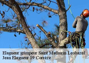 Elagueur grimpeur  saint-mathurin-leobazel-19430 Jean Elagueur 19 Corrèze