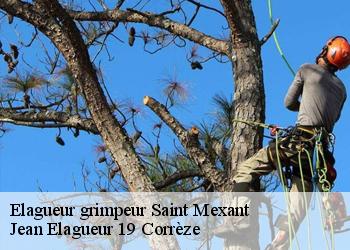 Elagueur grimpeur  saint-mexant-19330 Jean Elagueur 19 Corrèze