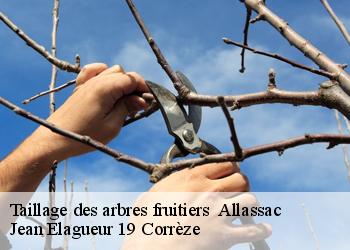 Taillage des arbres fruitiers   allassac-19240 Jean Elagueur 19 Corrèze