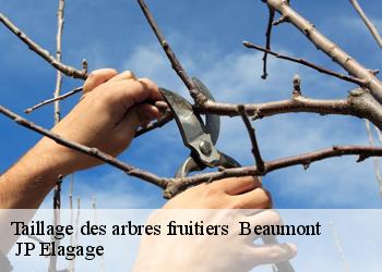 Taillage des arbres fruitiers   beaumont-19390  JP Elagage