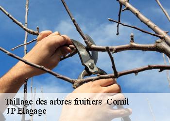 Taillage des arbres fruitiers   cornil-19150  JP Elagage