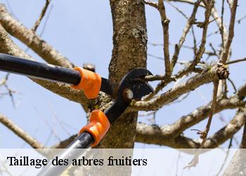 Taillage des arbres fruitiers 