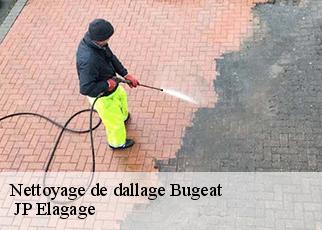 Nettoyage de dallage  bugeat-19170  JP Elagage