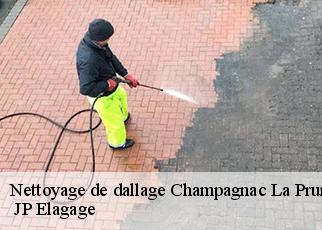 Nettoyage de dallage  champagnac-la-prune-19320  JP Elagage