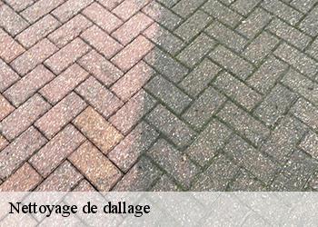 Nettoyage de dallage