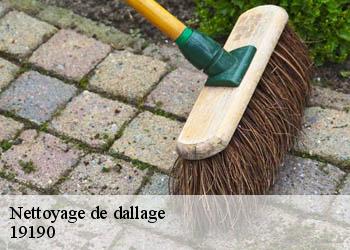 Nettoyage de dallage 19190
