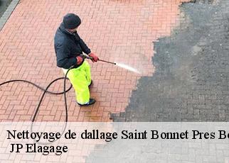 Nettoyage de dallage  saint-bonnet-pres-bort-19200  JP Elagage