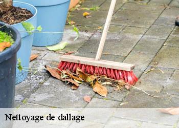 Nettoyage de dallage