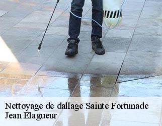 Nettoyage de dallage sainte-fortunade-19490 Jean Elagueur