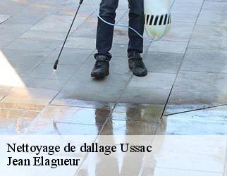 Nettoyage de dallage ussac-19270 Jean Elagueur