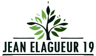 elagage-jean-elagueur